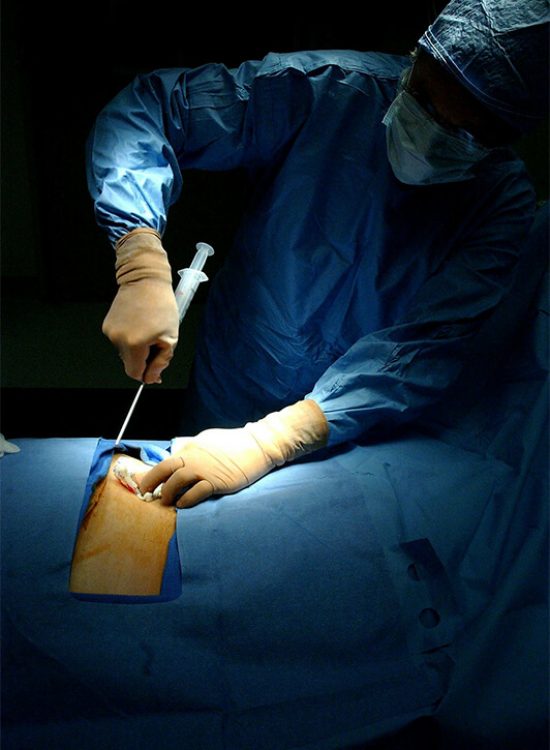 clinic clinic